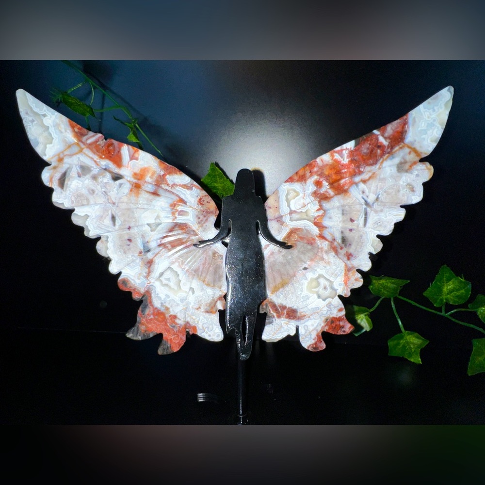 ❌SOLD❌Mexican Crazy Lace Agate Fairy Wings